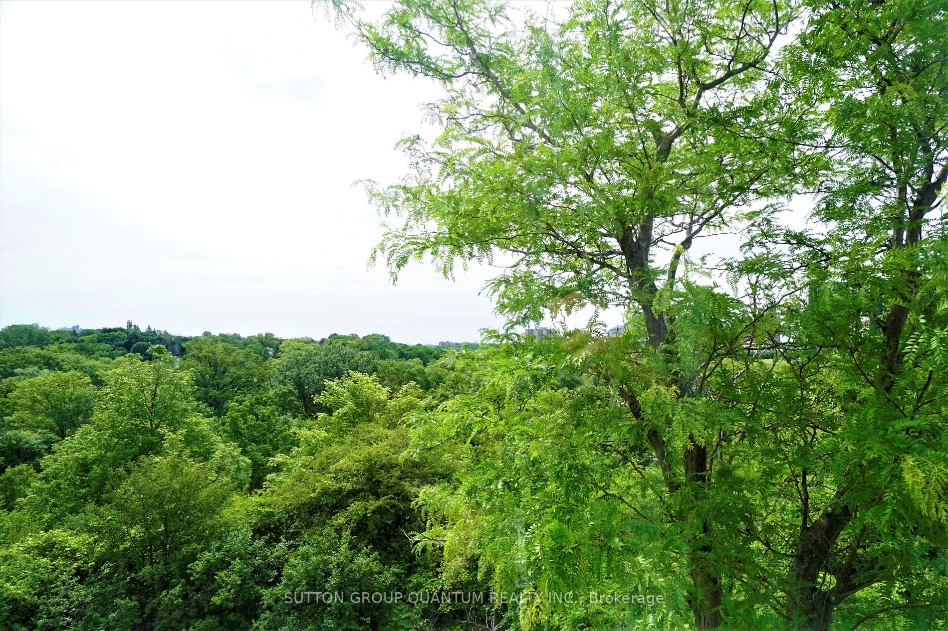 41 Markbrook Lane, #314