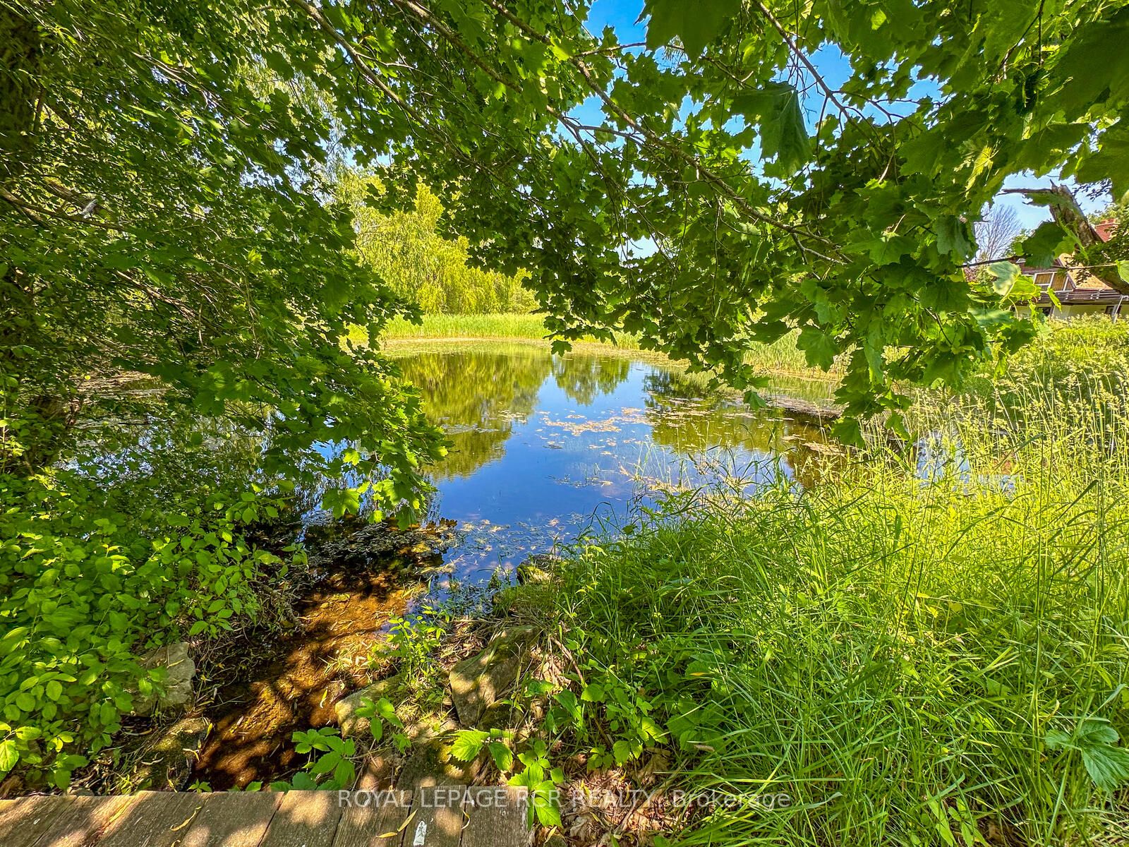 Listing W6213816 - Large Photo # 5