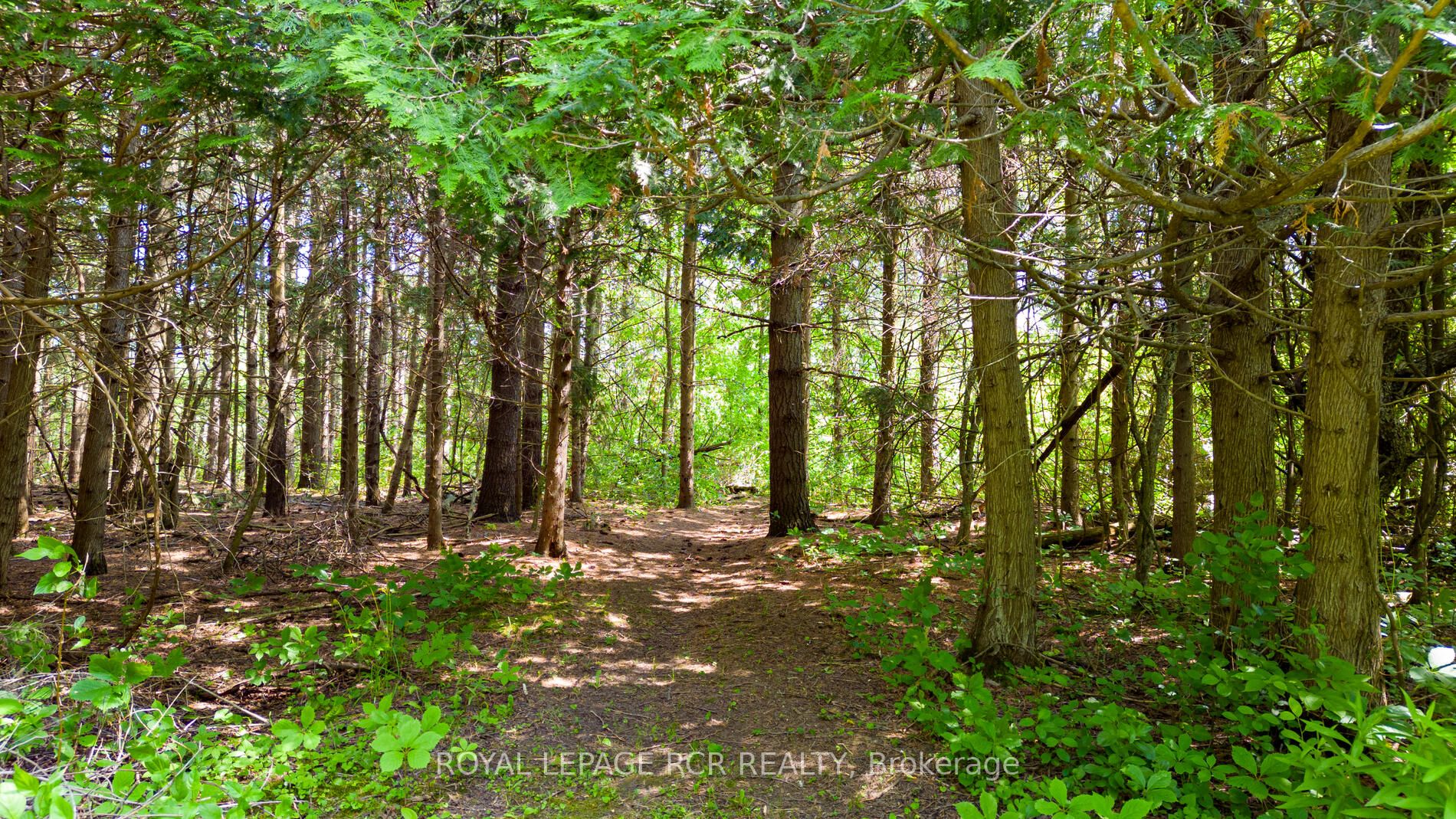 Listing W6213816 - Large Photo # 7