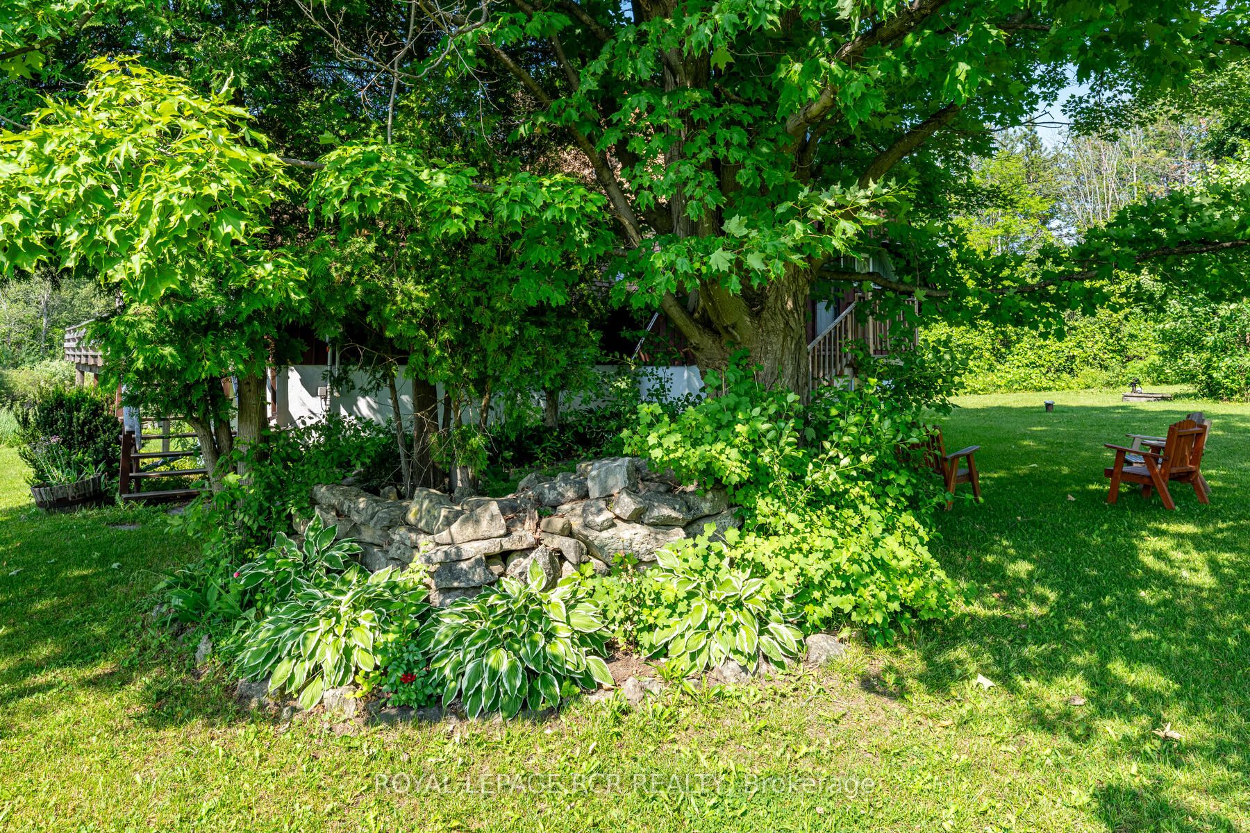 Listing W6213816 - Large Photo # 11