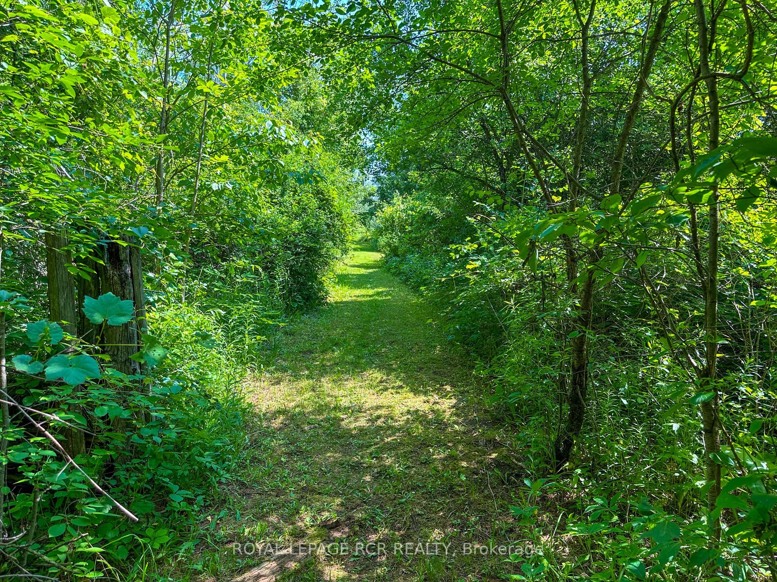 Listing W6213816 - Large Photo # 29