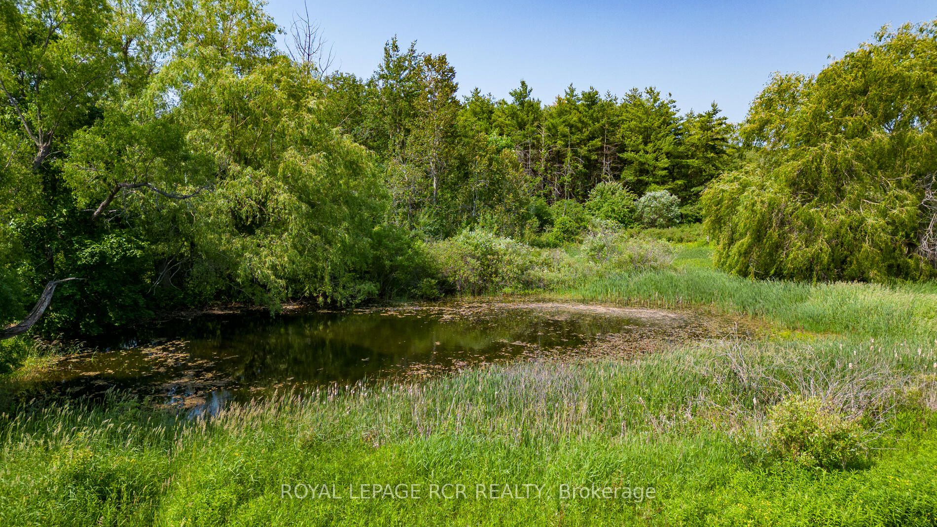 Listing W6213816 - Large Photo # 6