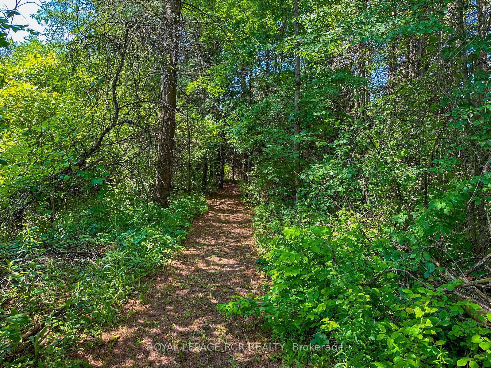 Listing W6213816 - Large Photo # 8