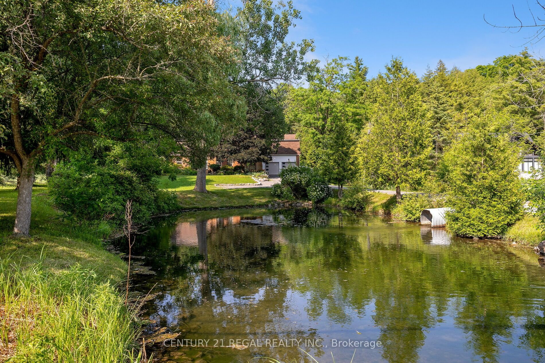 5535 Cedar Springs Rd