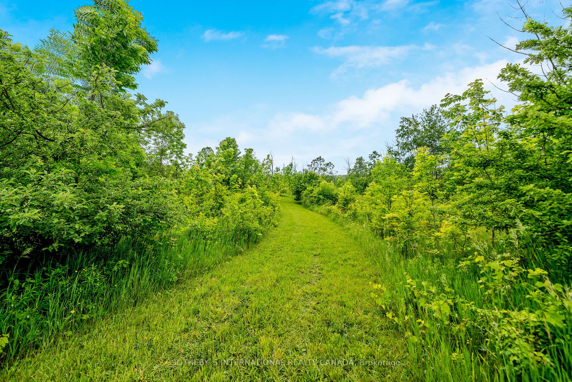 Listing W6217376 - Large Photo # 37