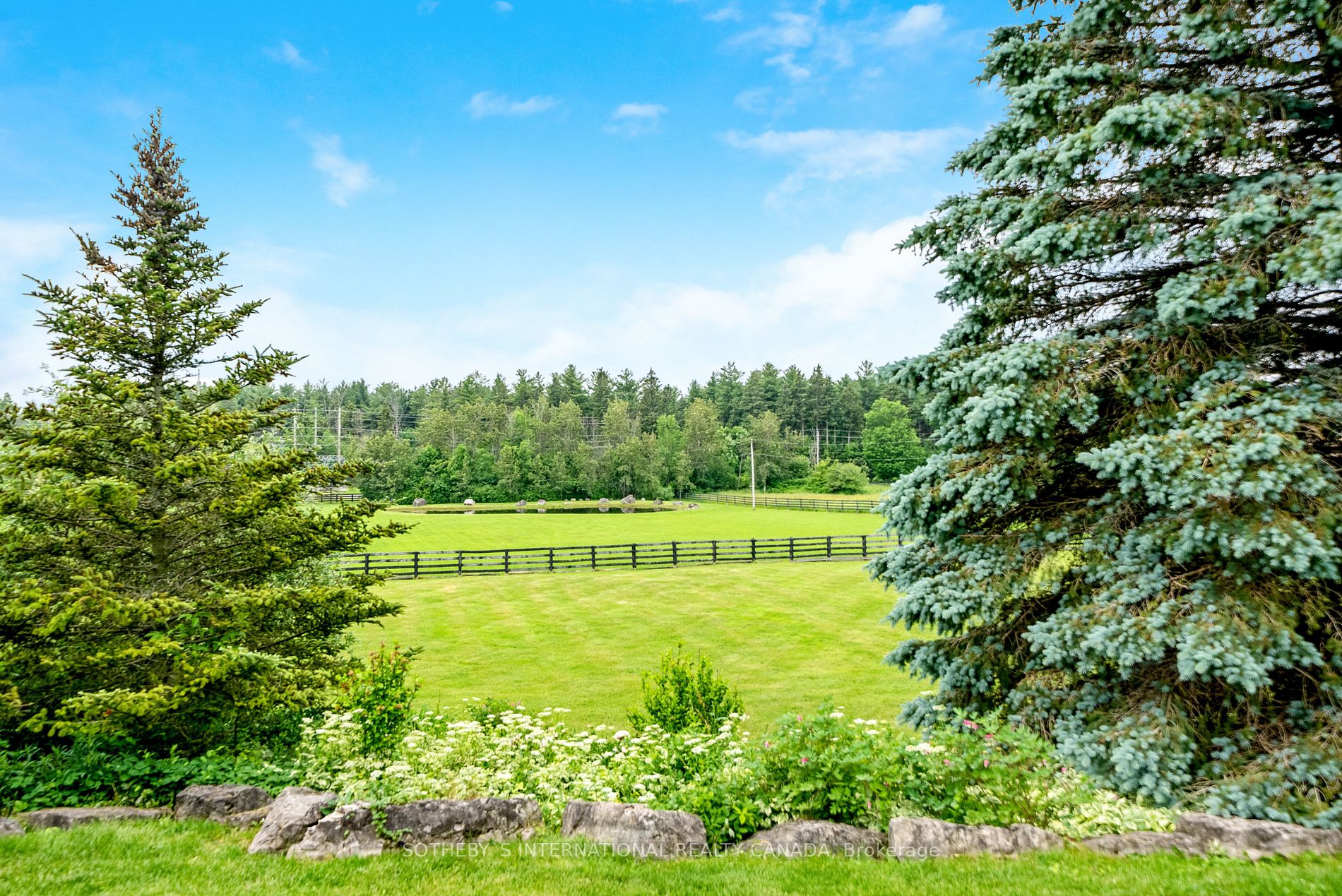 Listing W6217376 - Large Photo # 3