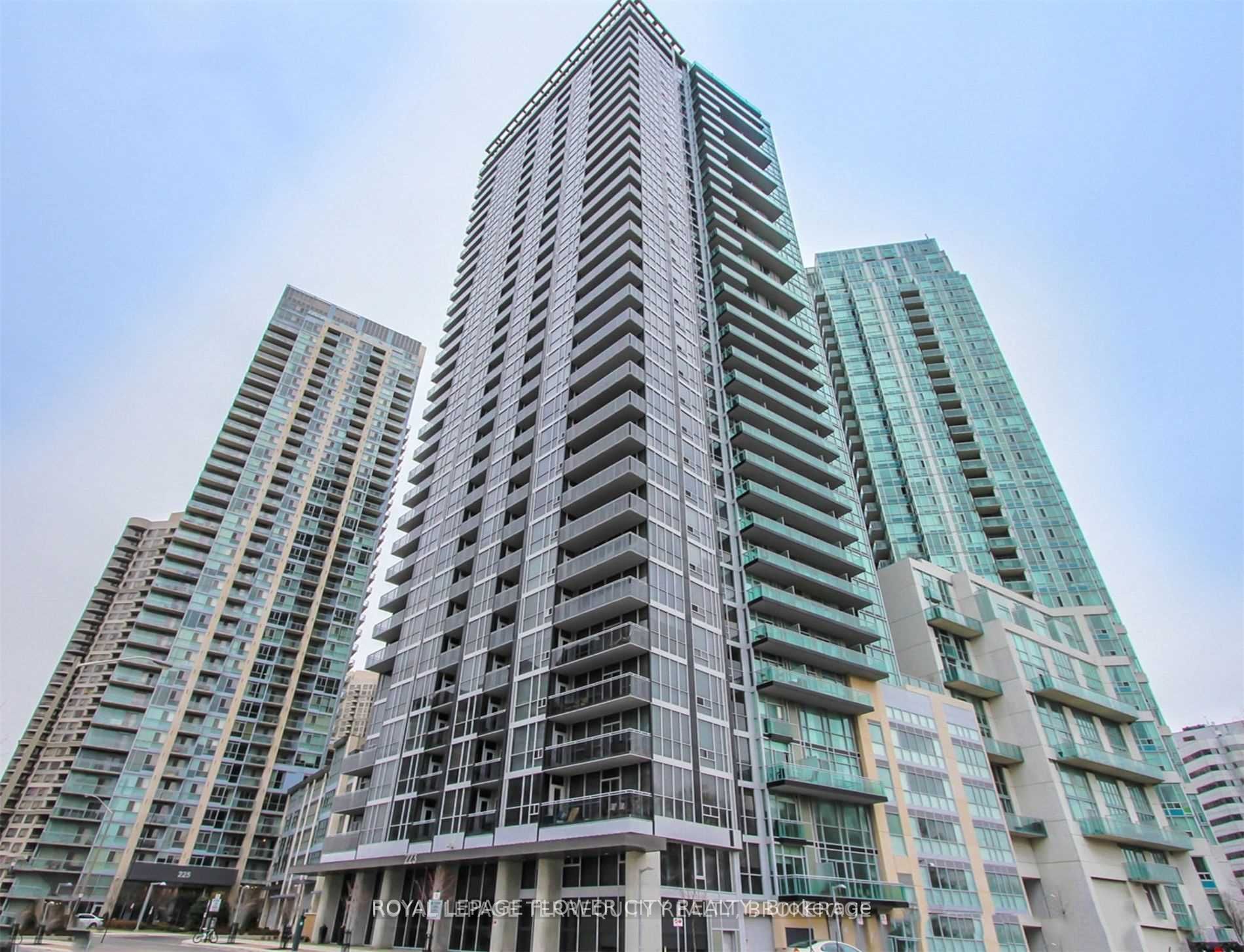 223 Webb Dr, #1712