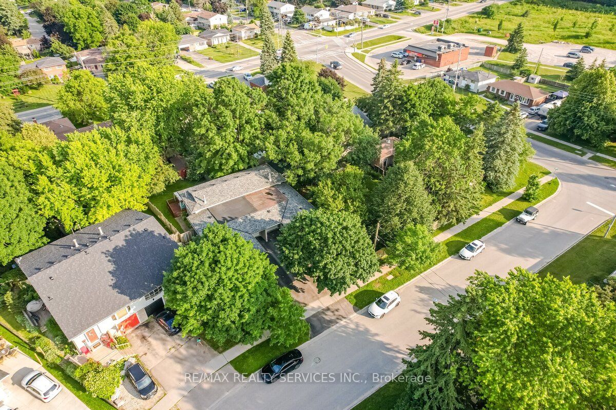 17 Shirley Street