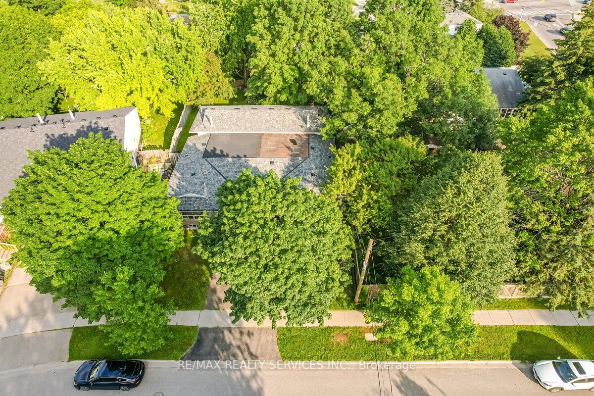 17 Shirley Street