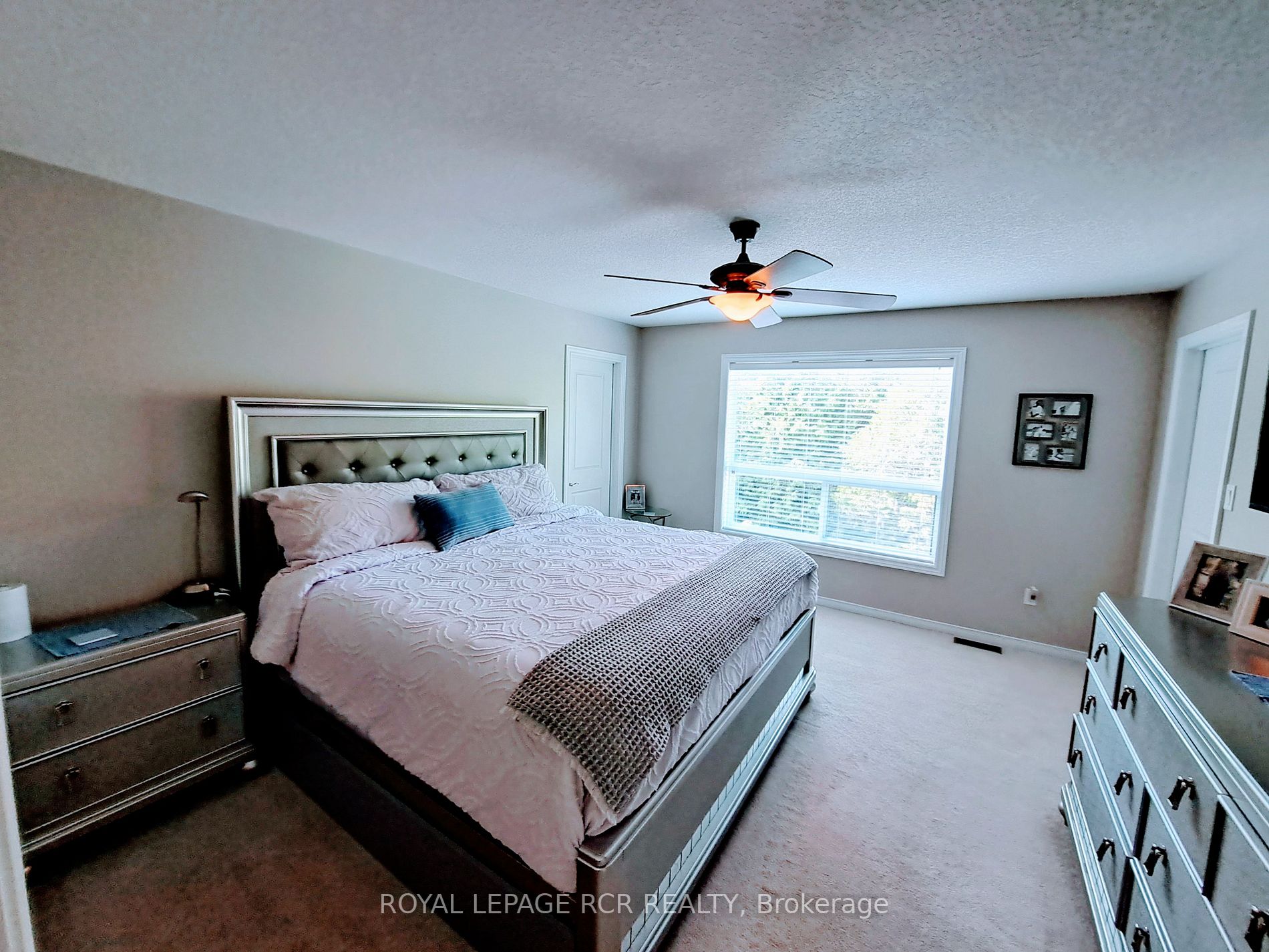 183 Elaine Dr