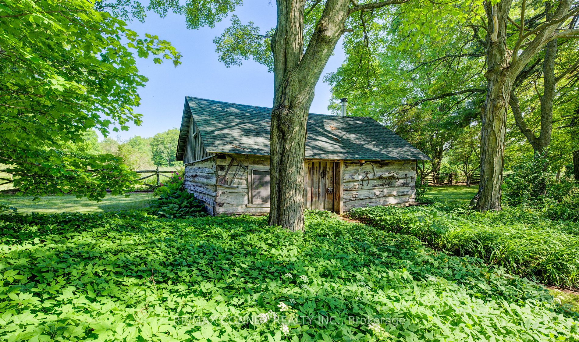Listing W6635364 - Large Photo # 39