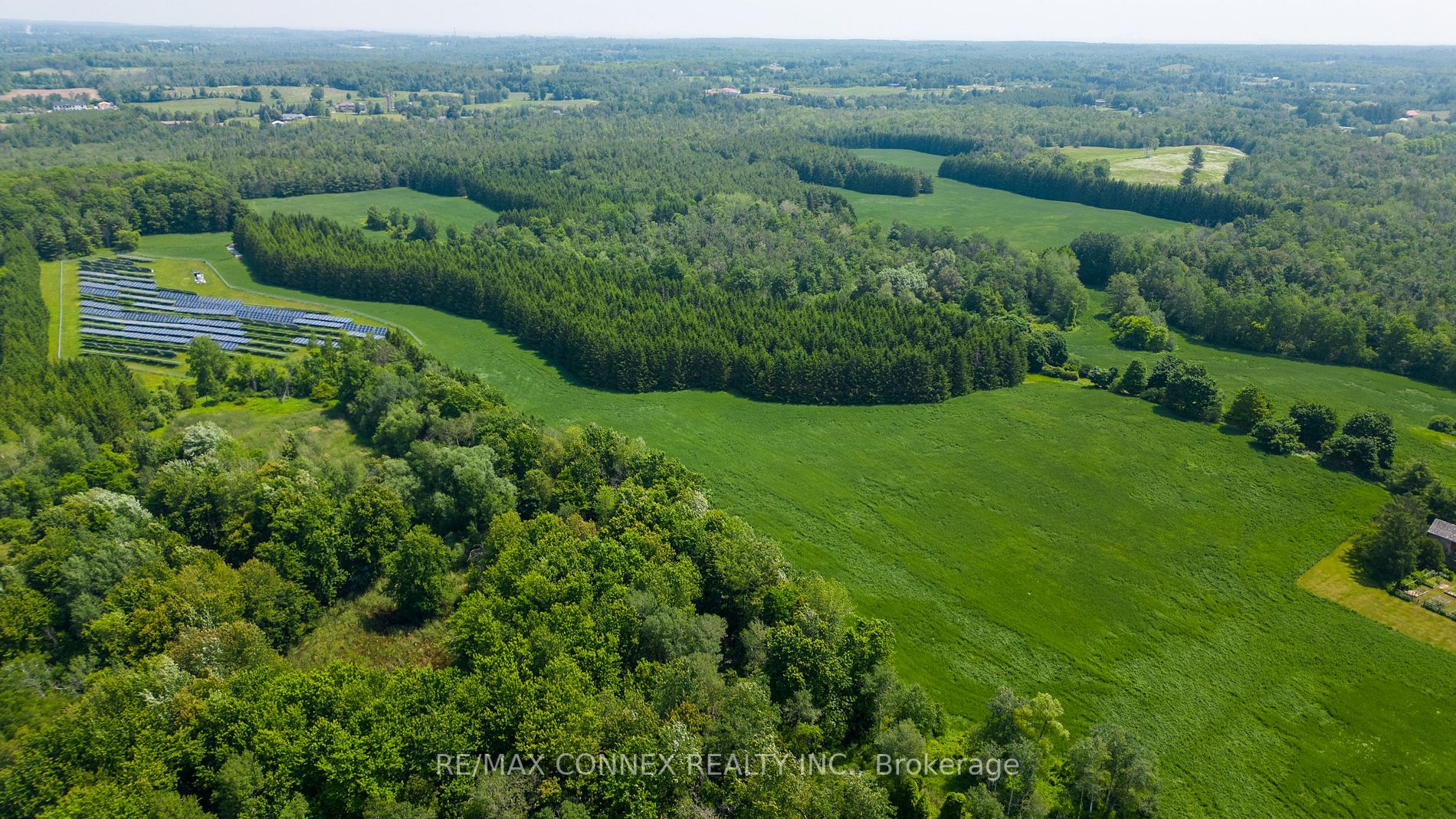 Listing W6635364 - Large Photo # 3