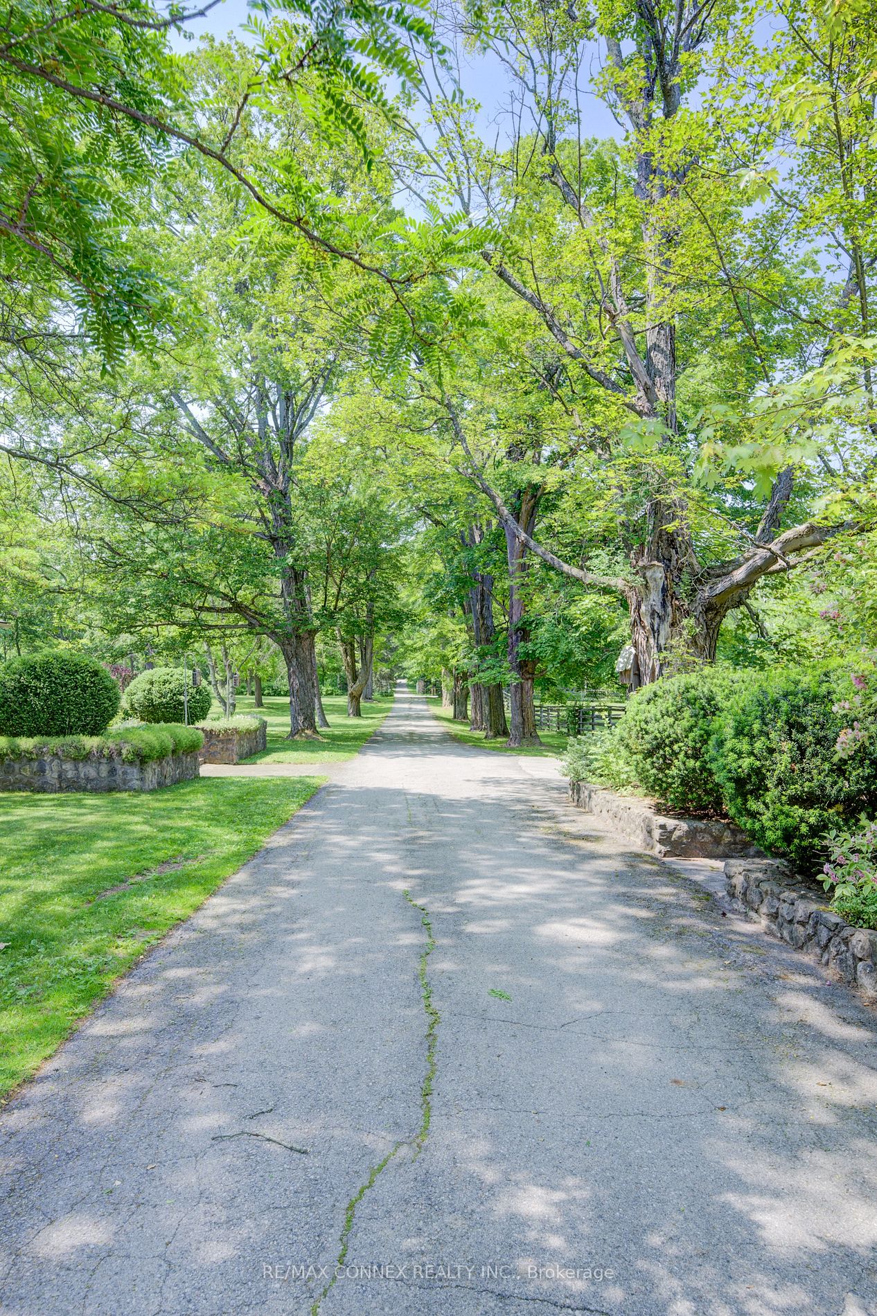 Listing W6635364 - Large Photo # 37