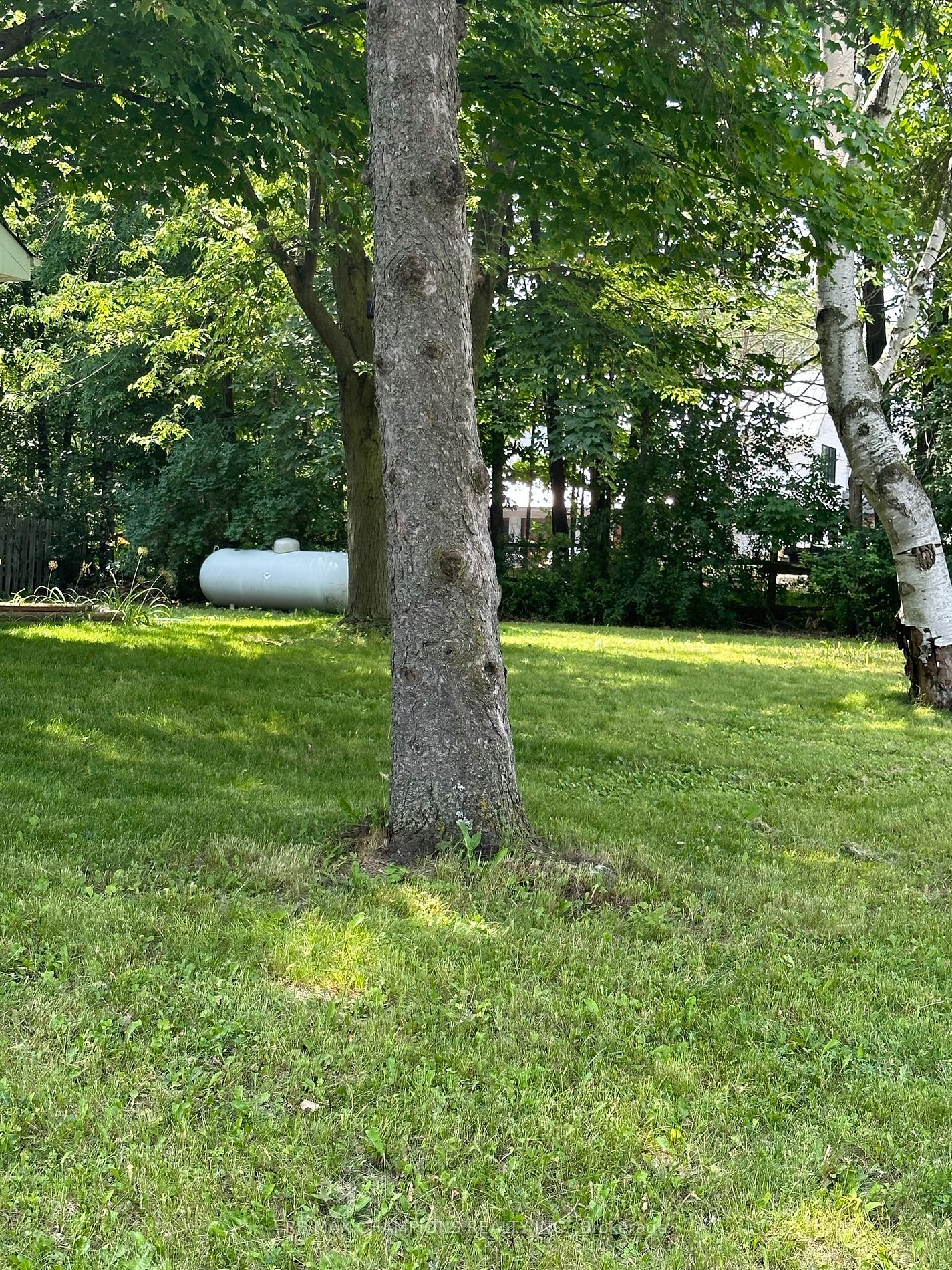 Listing W6642602 - Large Photo # 2