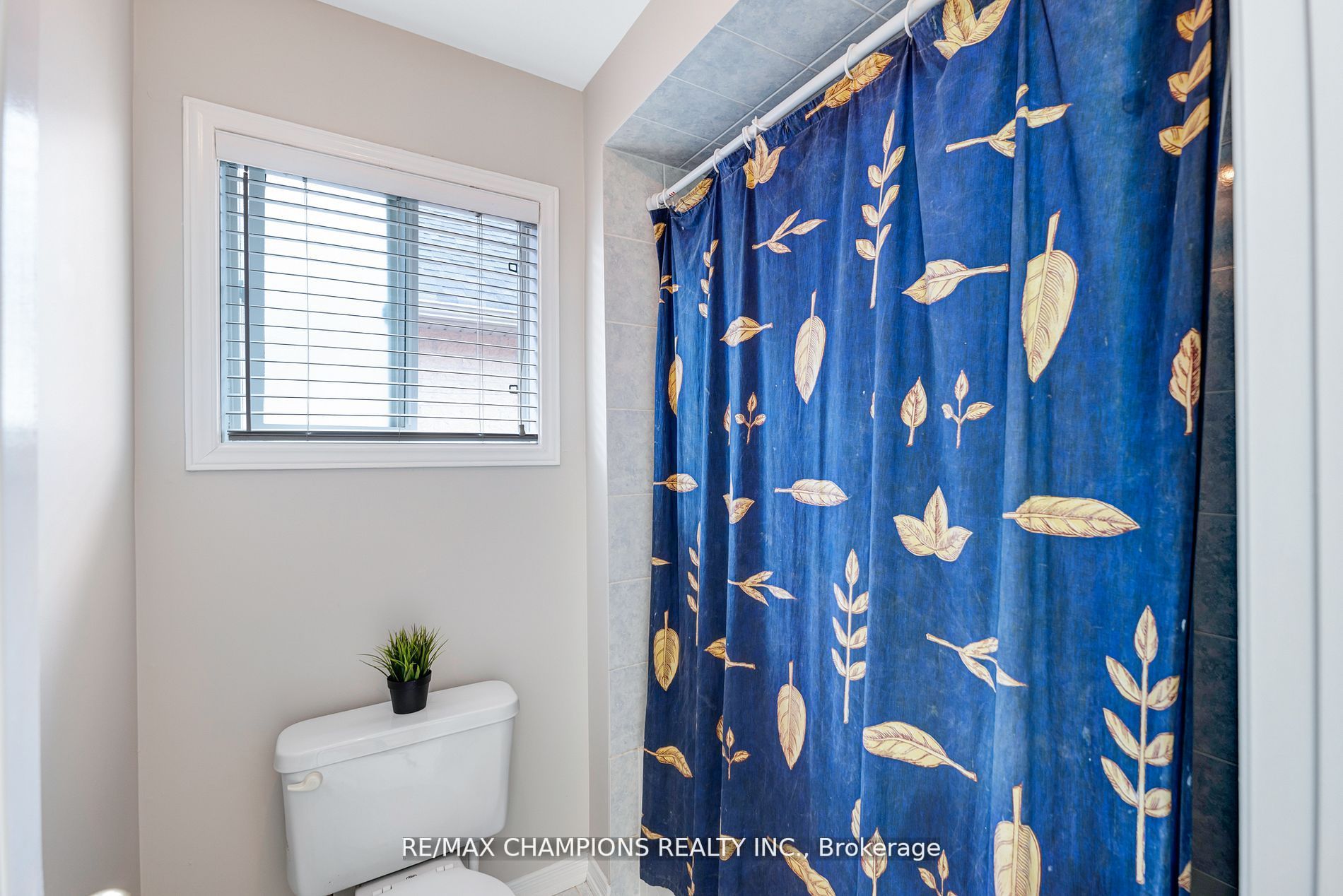 11 Cape Dorset Cres