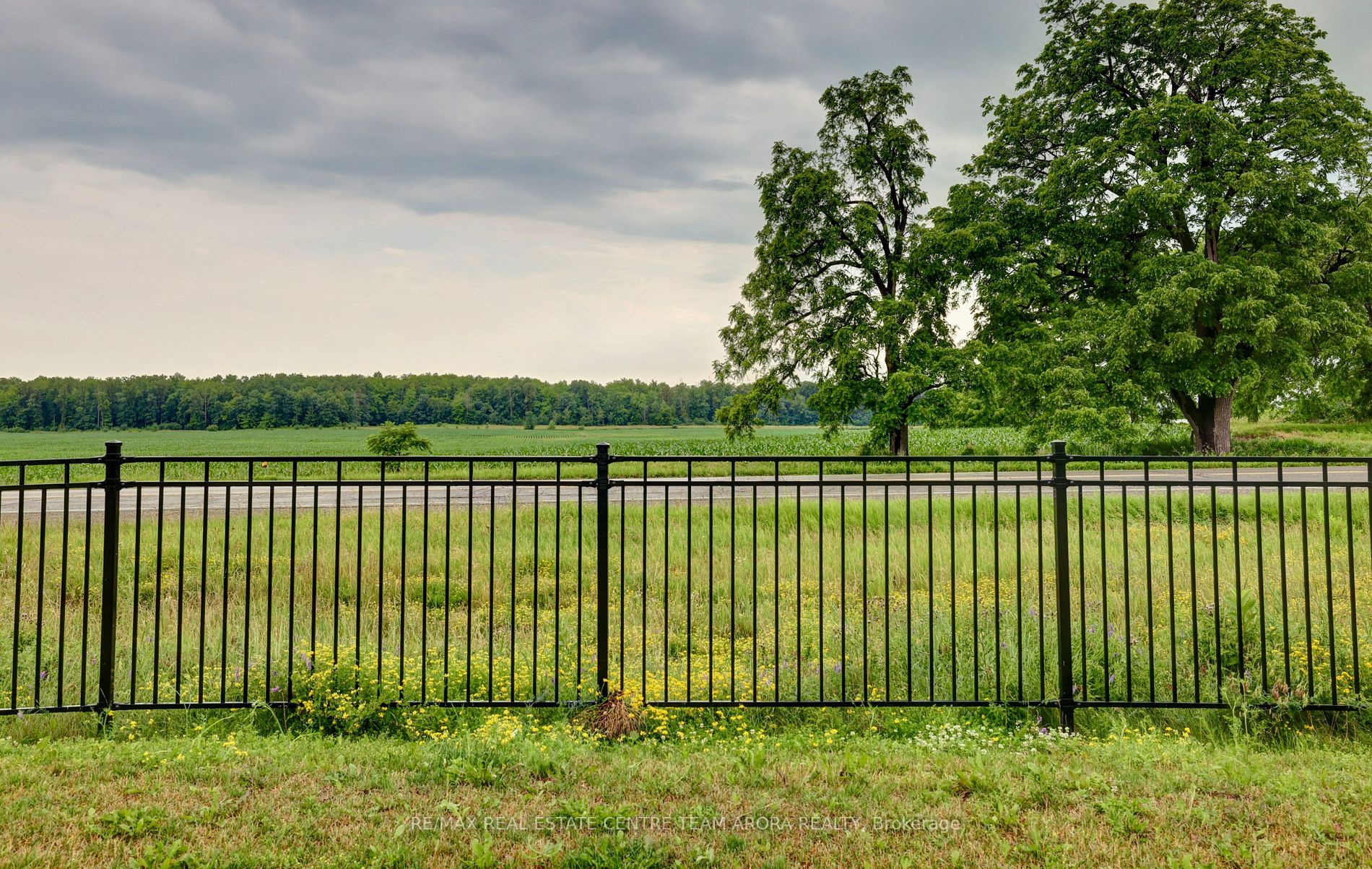63 Hogan Manor Dr