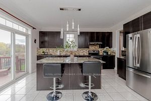 21 Borrelli Dr