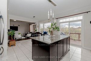 21 Borrelli Dr