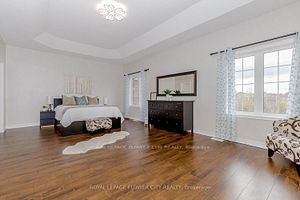 21 Borrelli Dr