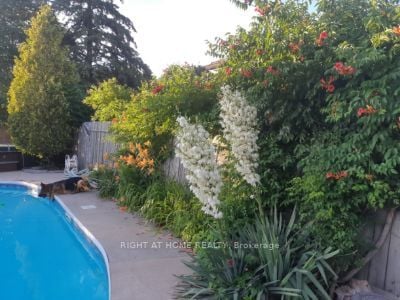 33 Deerfield Cres