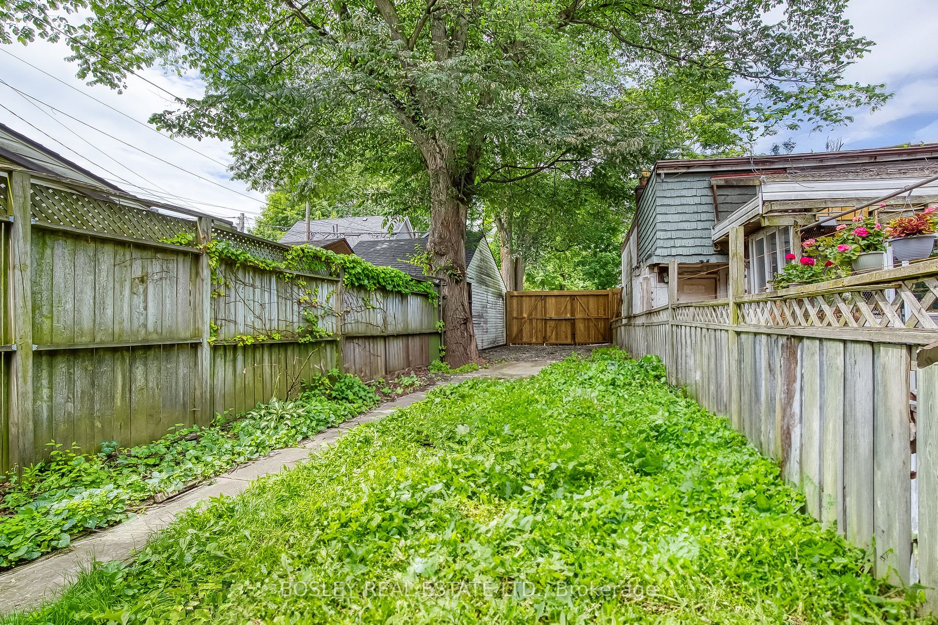 12 O'hara Ave