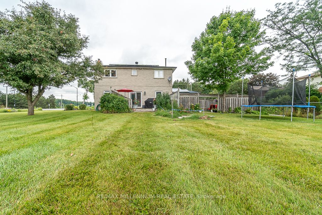 Listing W6661128 - Large Photo # 38