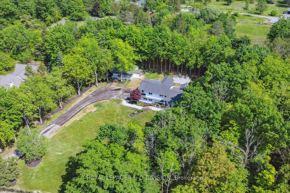 Listing W6673926 - Large Photo # 38