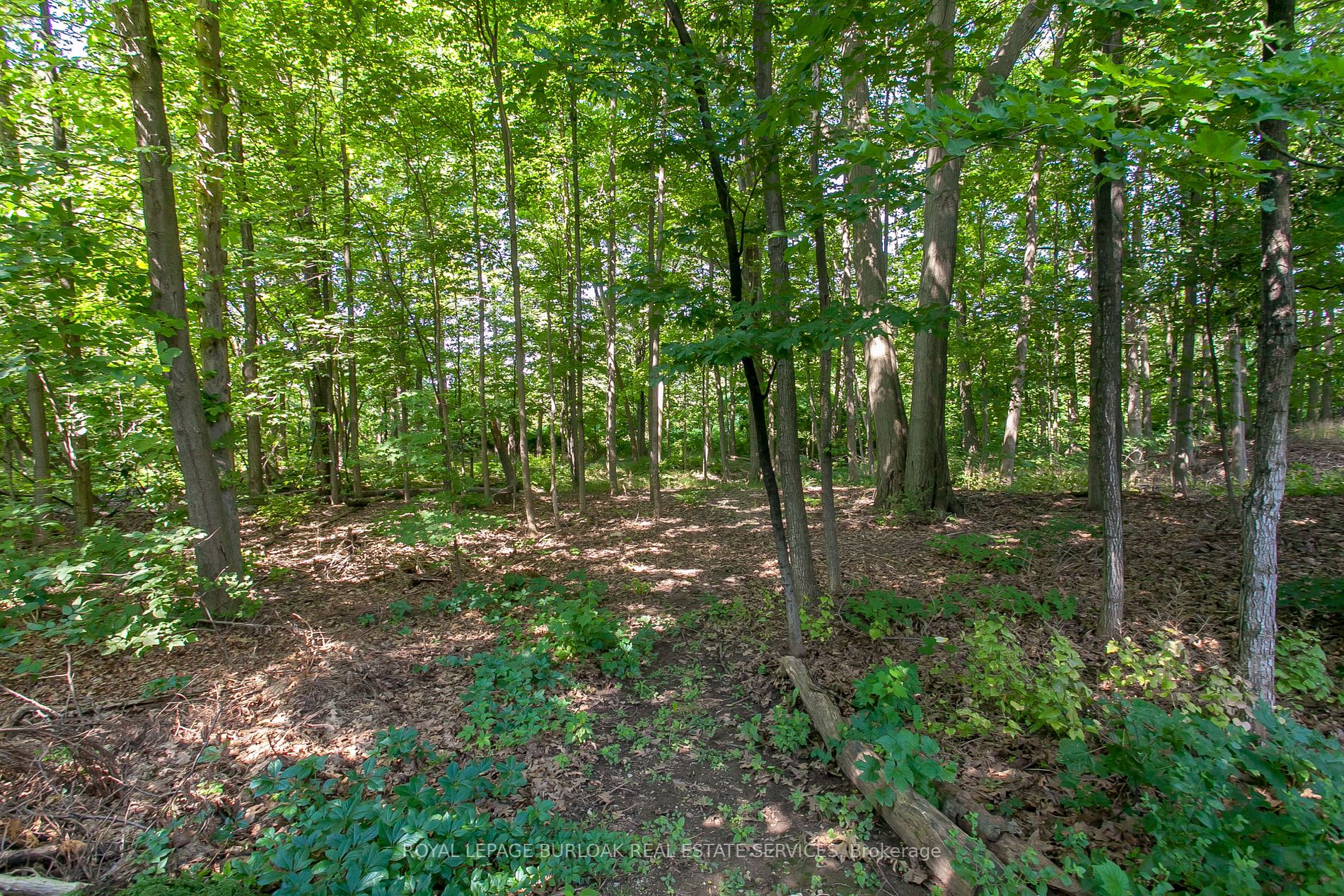 2012 Headon Forest Dr