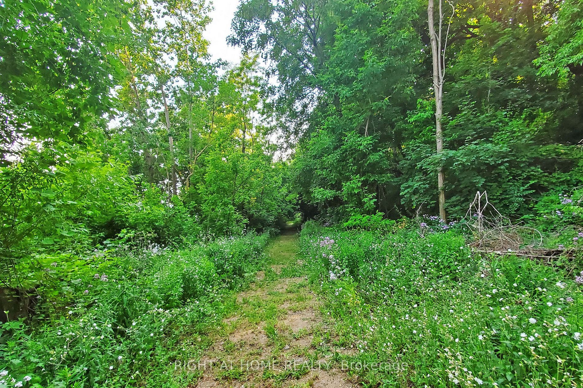 868 Danforth Place