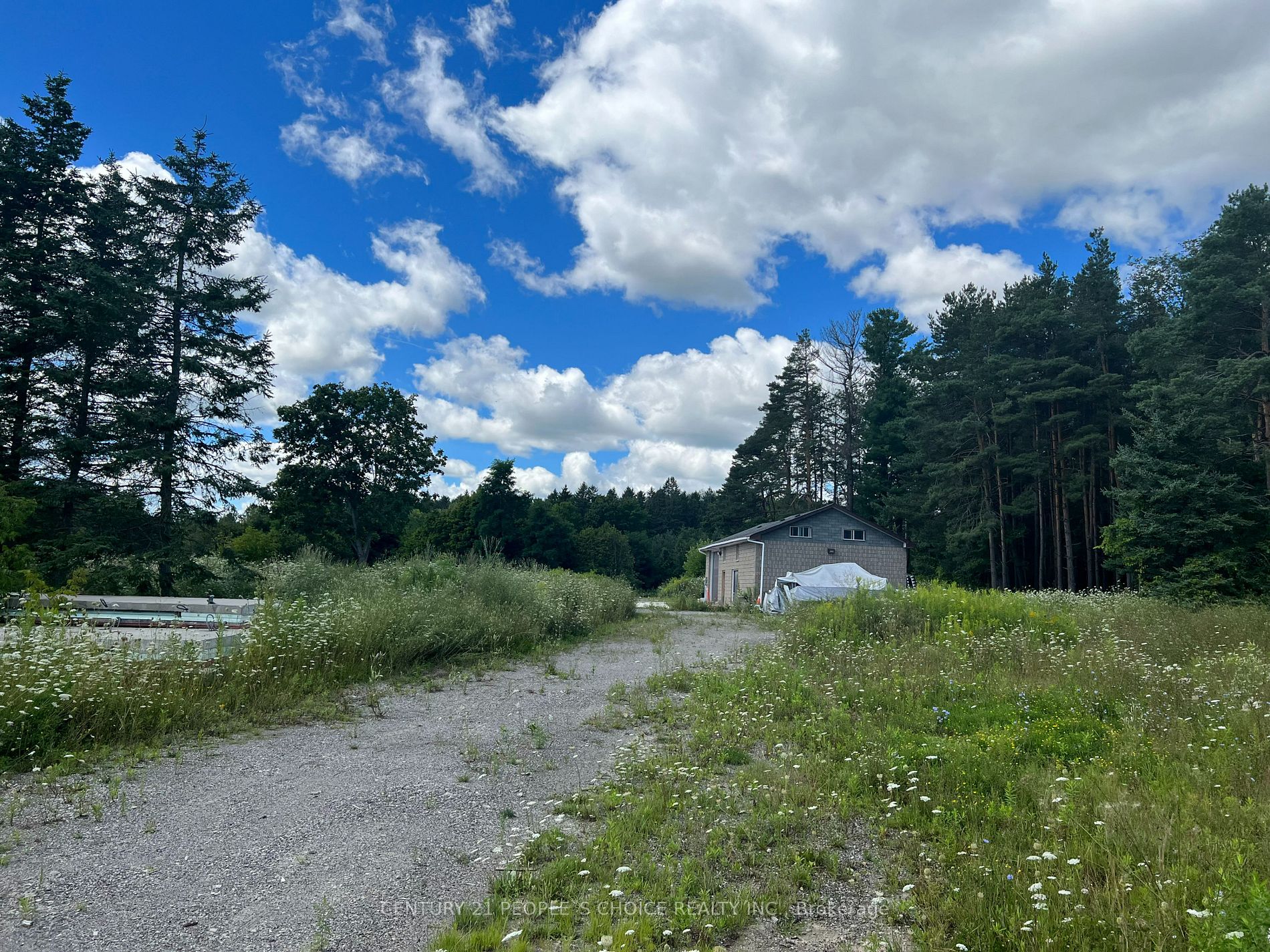 Listing W6696988 - Large Photo # 22