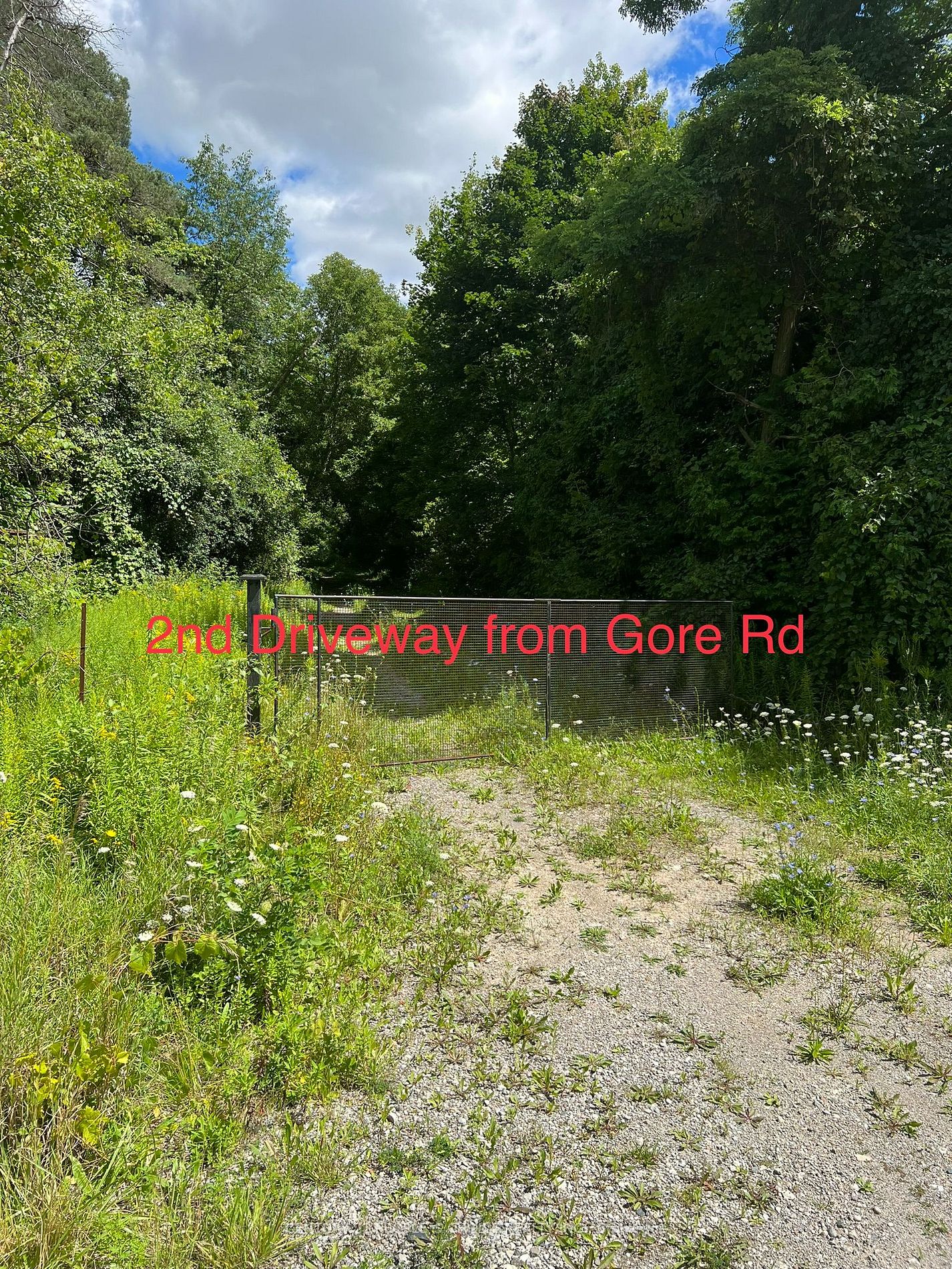 Listing W6696988 - Large Photo # 10