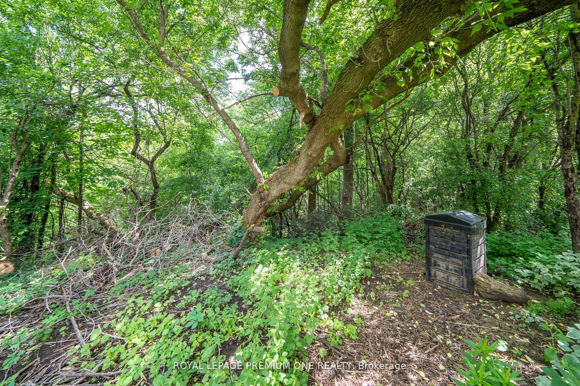 20 Bridgend Cres
