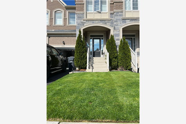12 Little Britain Cres, Brampton