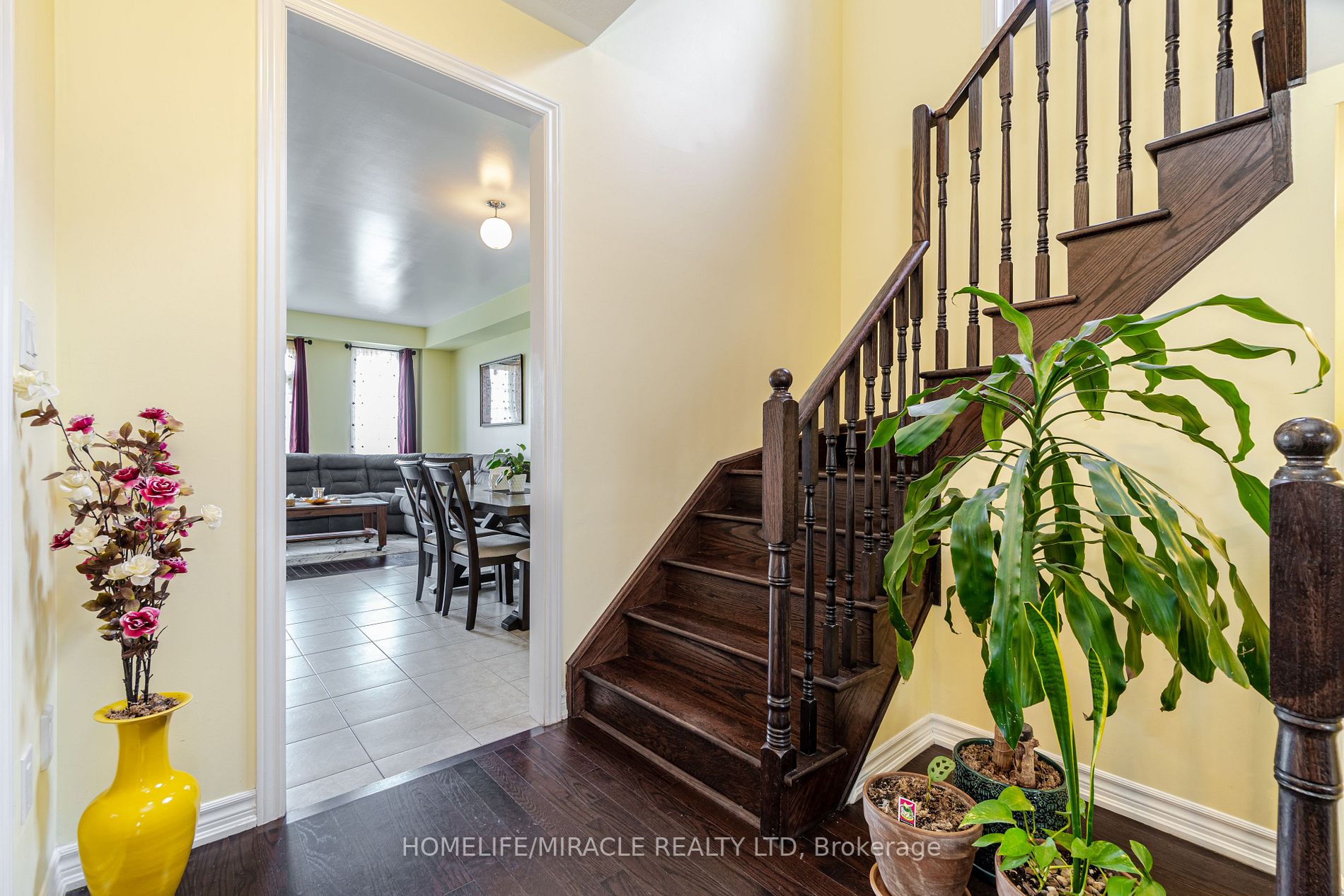 42 Agava St