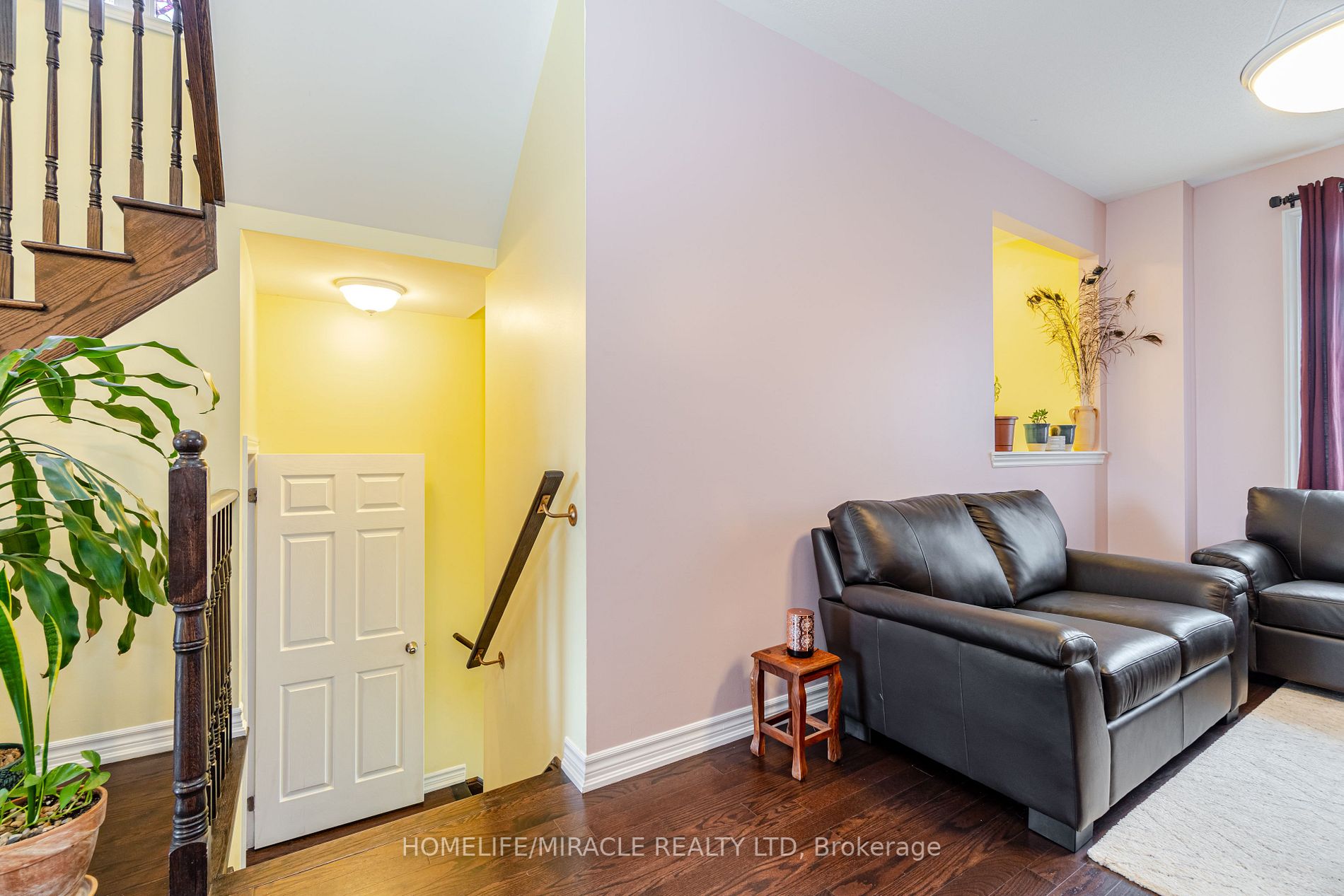 42 Agava St