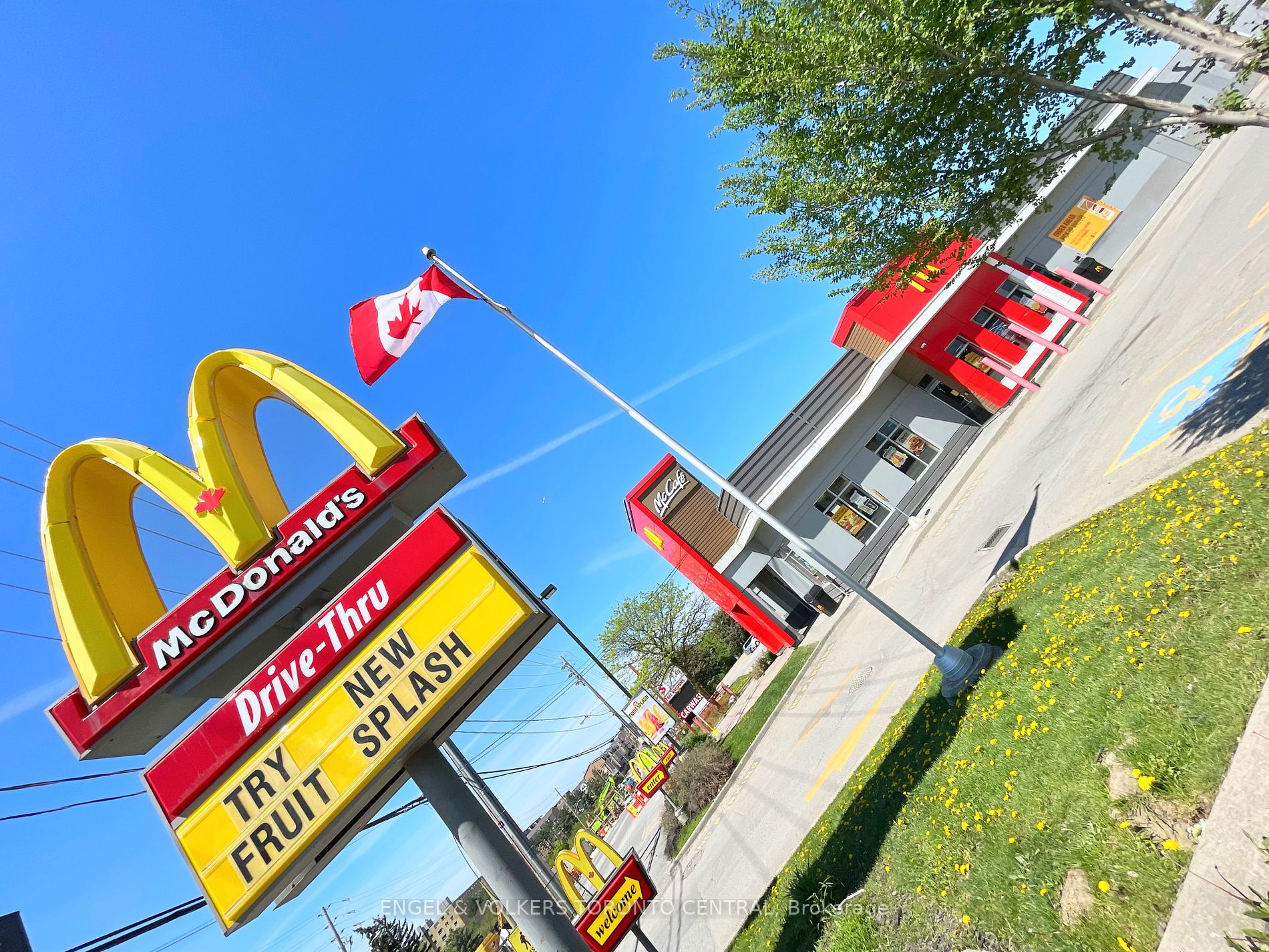 3390 Weston Road, #1003