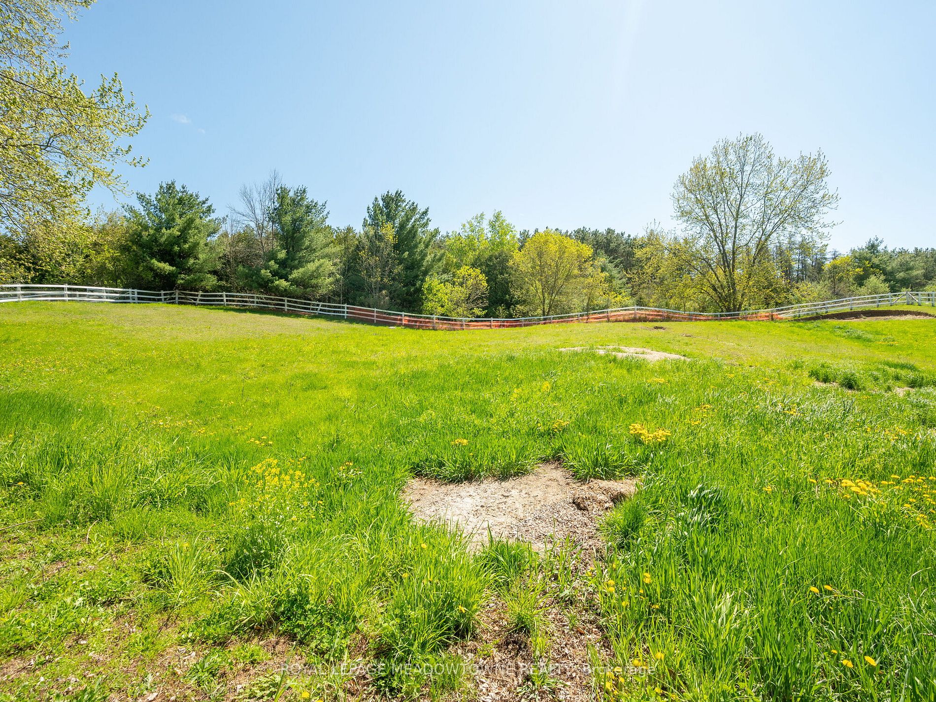 8283 Patterson Side Road