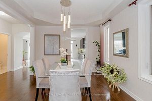 21 Borrelli Dr