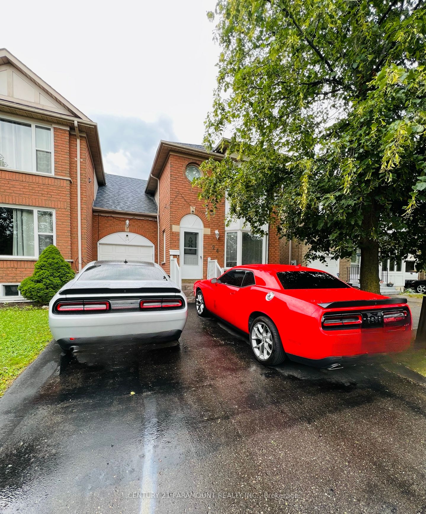 24 Softneedle Ave