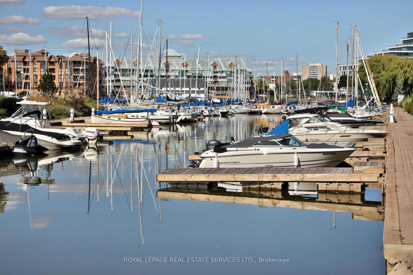 102 Bronte Road, #411