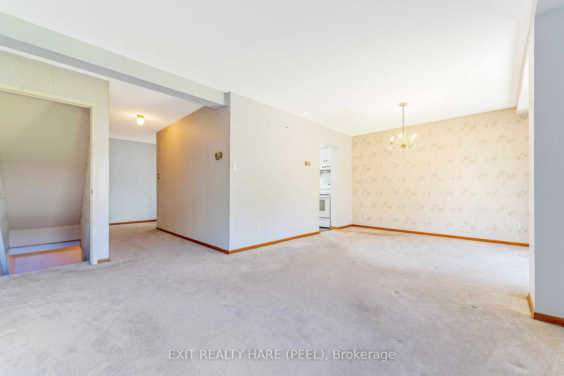 44 Horne Dr
