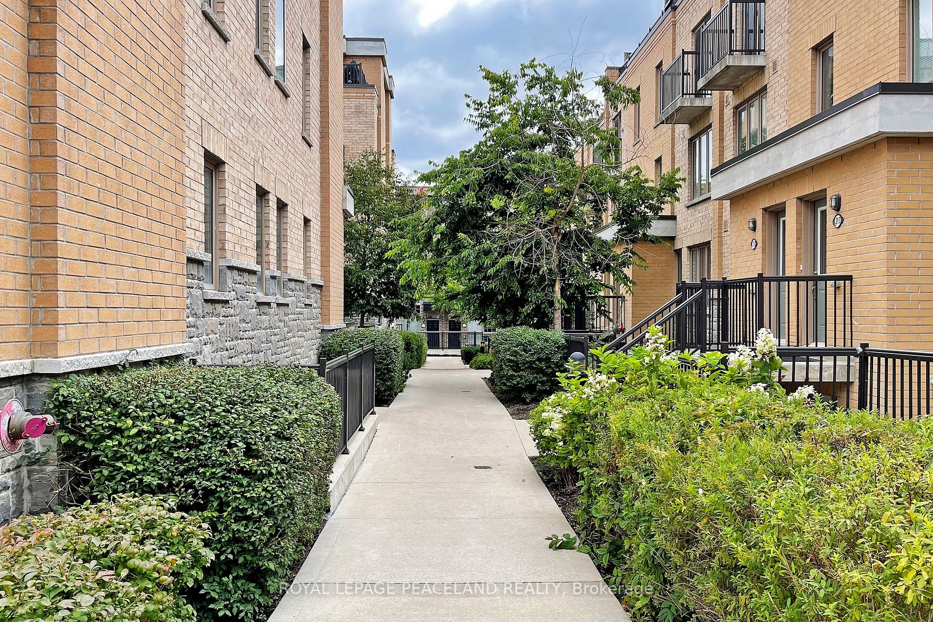 7 Foundry Avenue #117