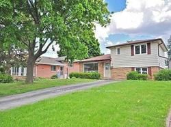 11 Pleaseley Rd