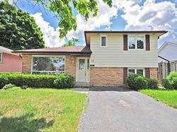 11 Pleaseley Rd