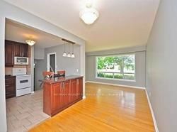 11 Pleaseley Rd