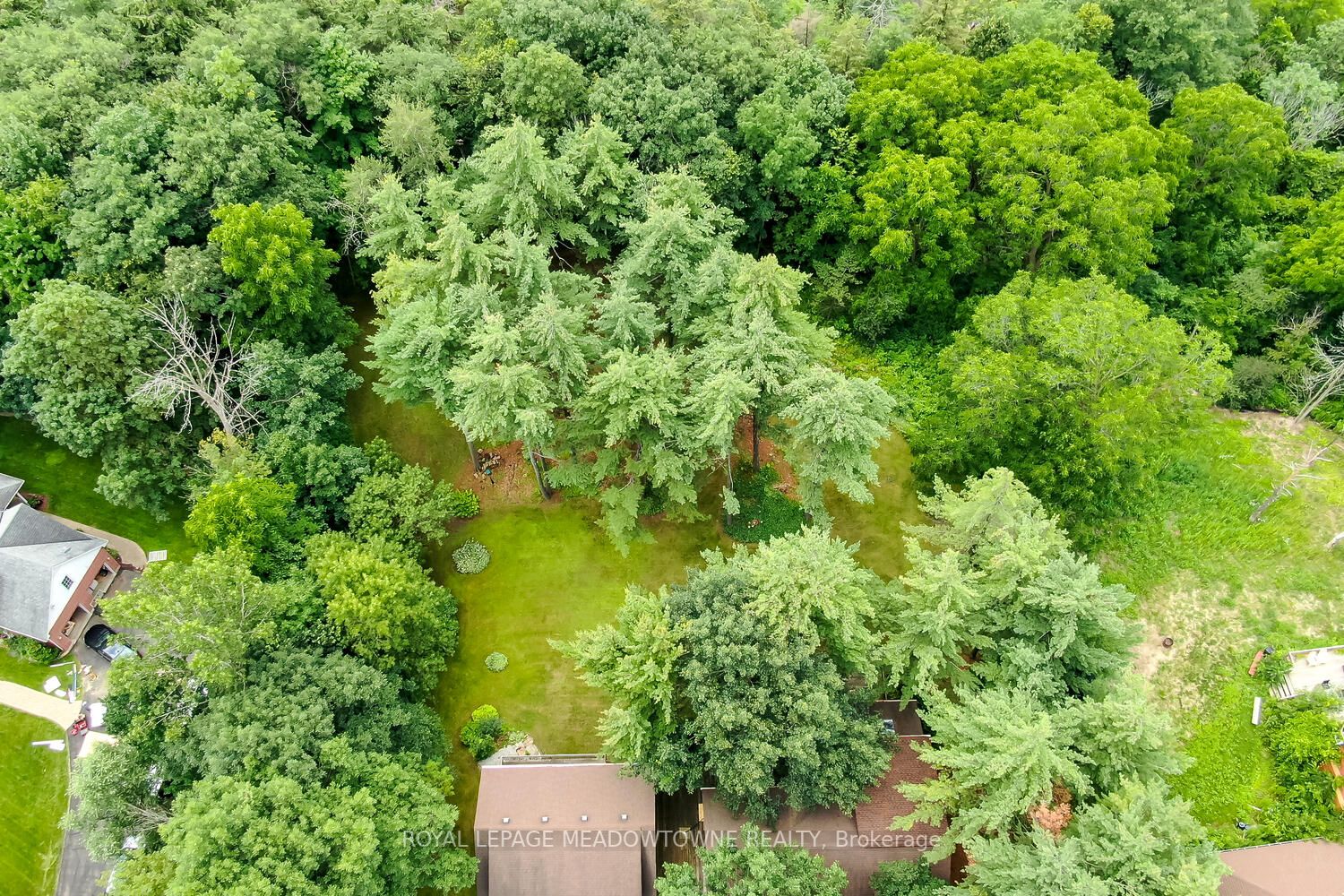 10126 Old Pine Crest Rd