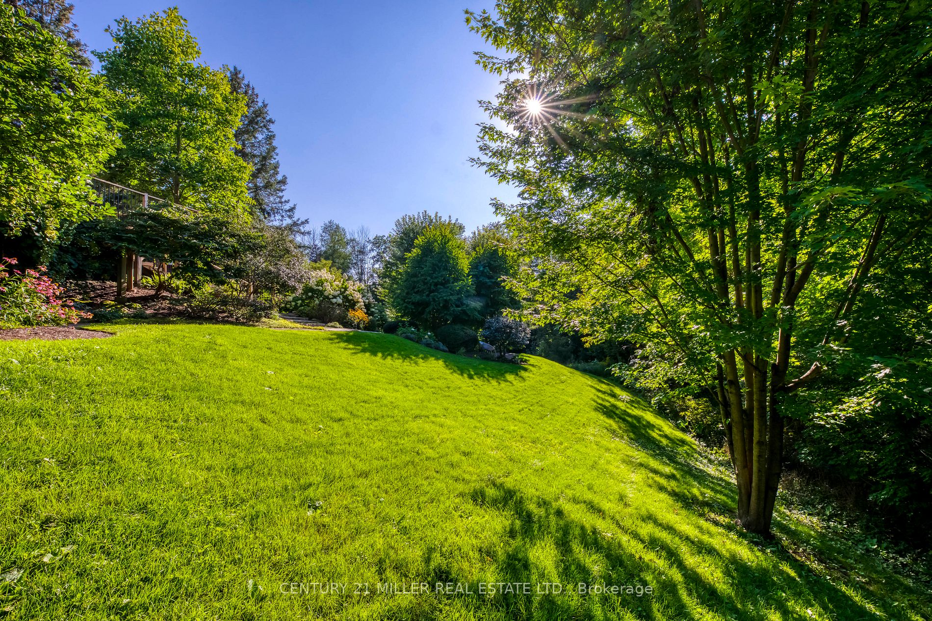 2345 Britannia Rd