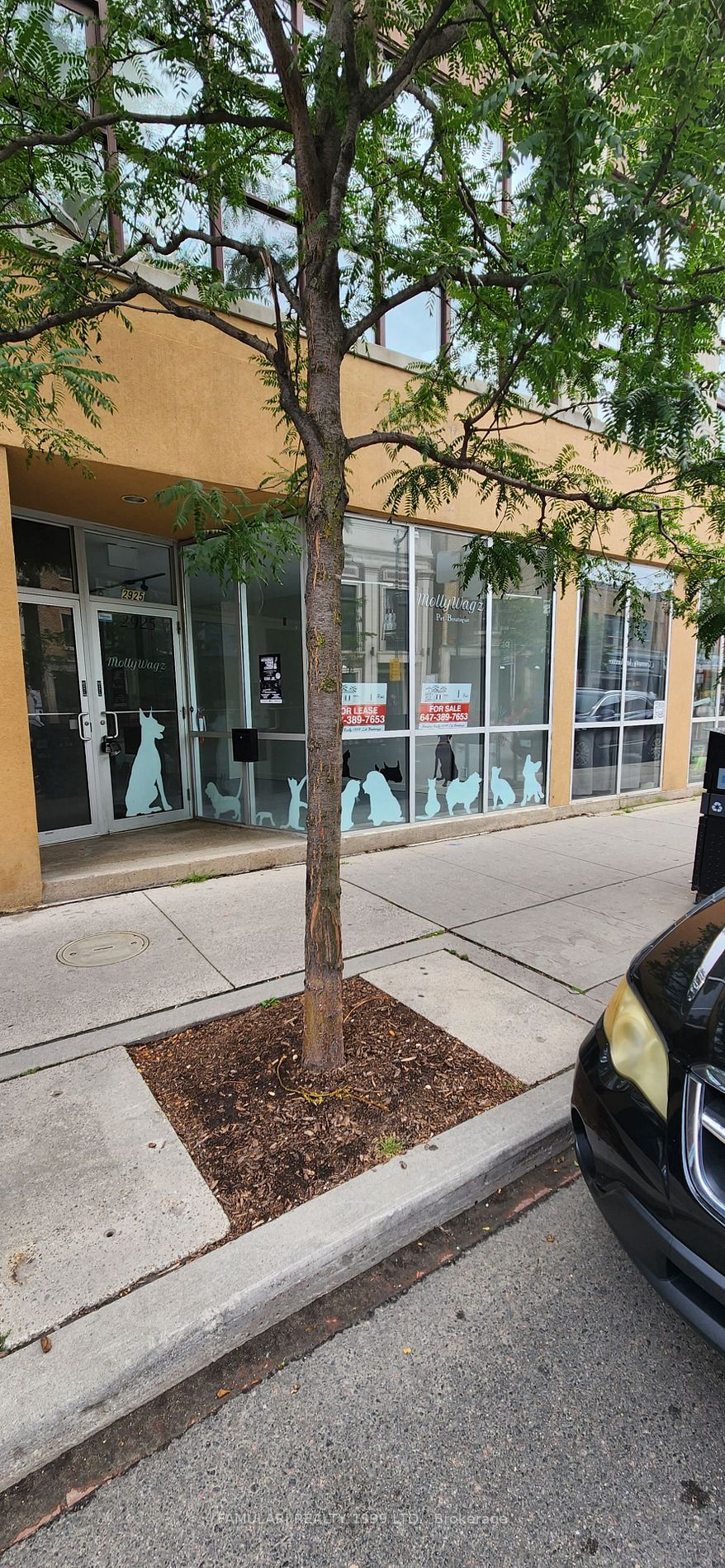 2925 Dundas St W, #102