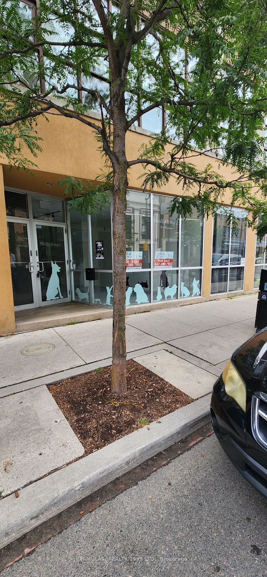 2925 Dundas St W, #102