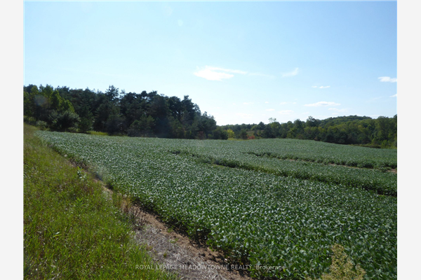 0 Mount Hope Rd, Caledon